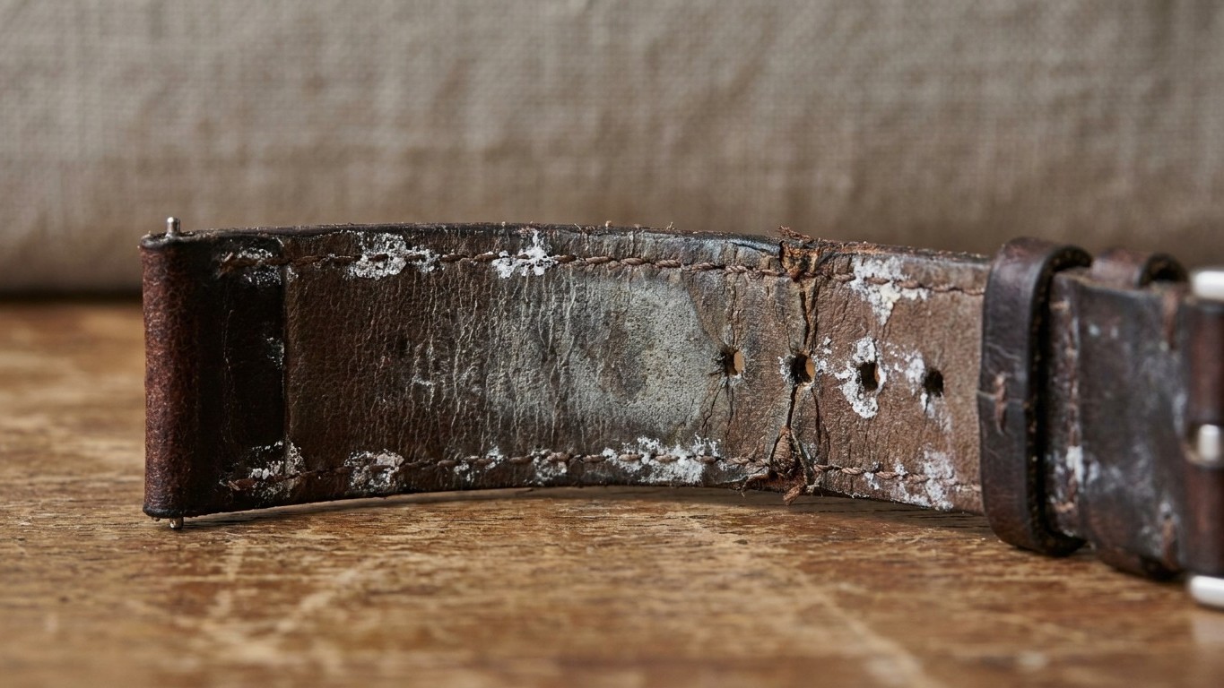 Je portais ma montre à bracelet cuir en pleine canicule : le jour où je l'ai retirée après un été à 35°C, j'ai compris ce ...