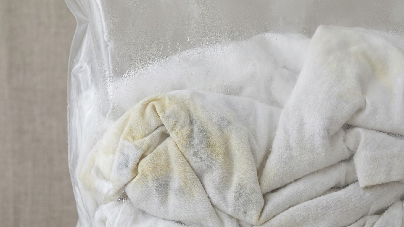 Mes cartons de vêtements d'hiver dorment sous les combles depuis deux étés : le jour où j'ai ouvert la housse plastique po...